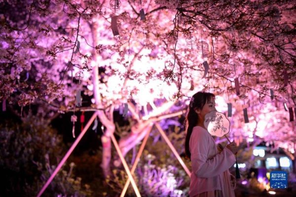 富兴配资 江苏无锡：浪漫夜樱醉游人