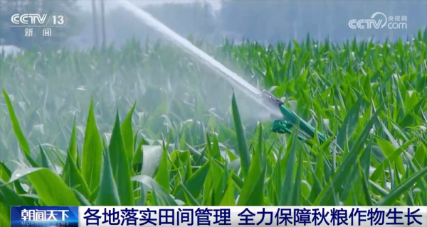 六六配资 智“绘”田管图 科技为全力保障秋粮作物生长装上“数字大脑”