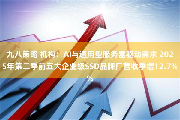 九八策略 机构：AI与通用型服务器驱动需求 2025年第二季前五大企业级SSD品牌厂营收季增12.7%